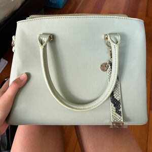 Aldo Sage Purse